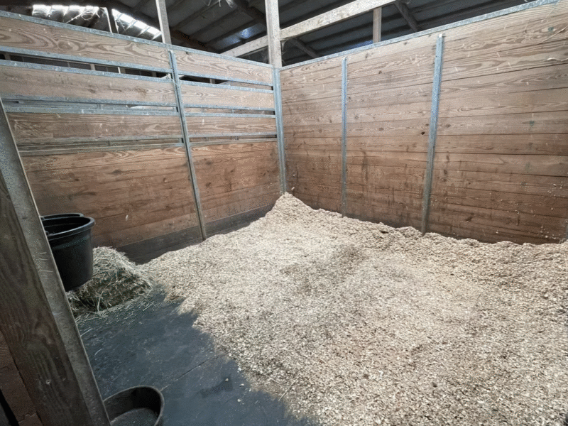 Sohlay Sporthorses